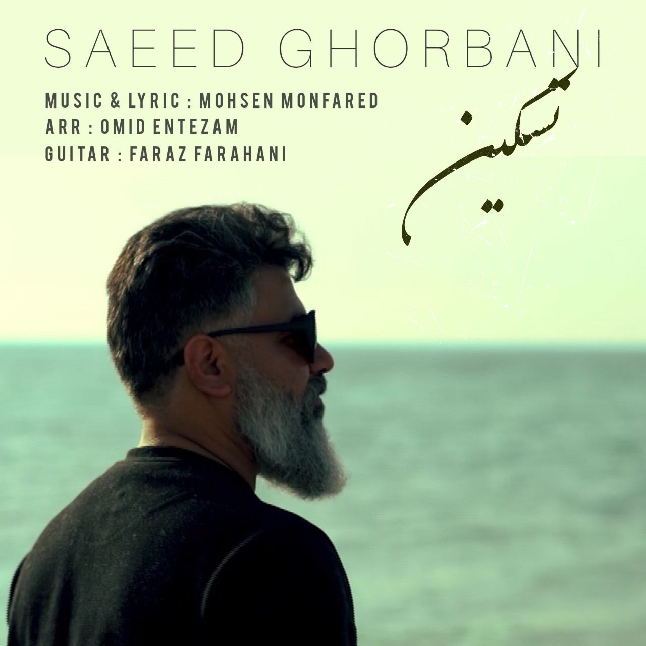 سعید قربانی - تسکین